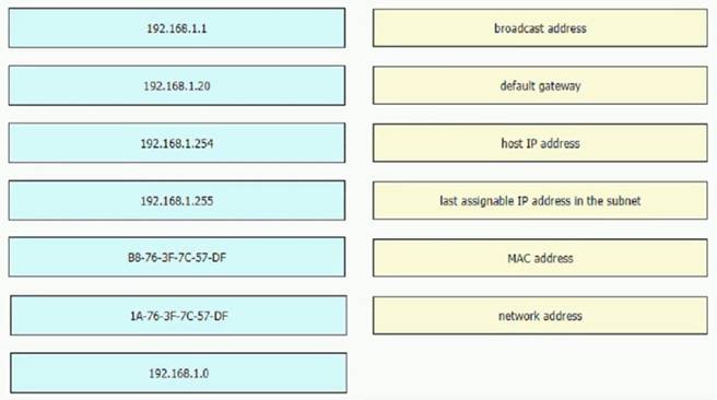 200-301 dumps exhibit