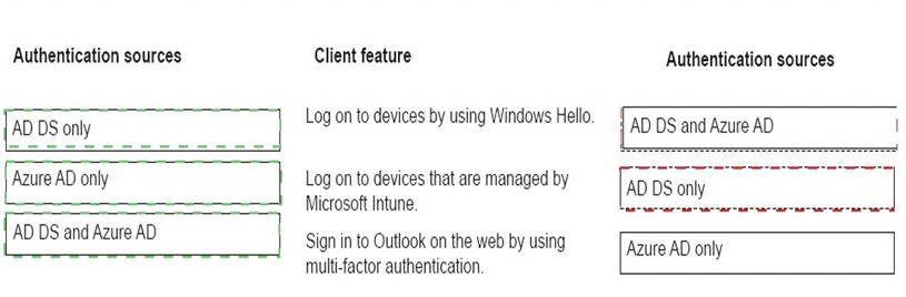 MS-900 dumps exhibit